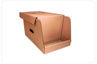 caja carton exhibidora